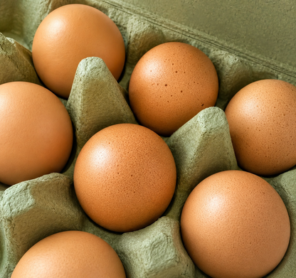 Six brown eggs nestled in a green cardboard egg carton.