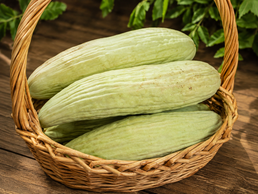Homegrown Armenian cucumbers growing in the Four Little Acres garden