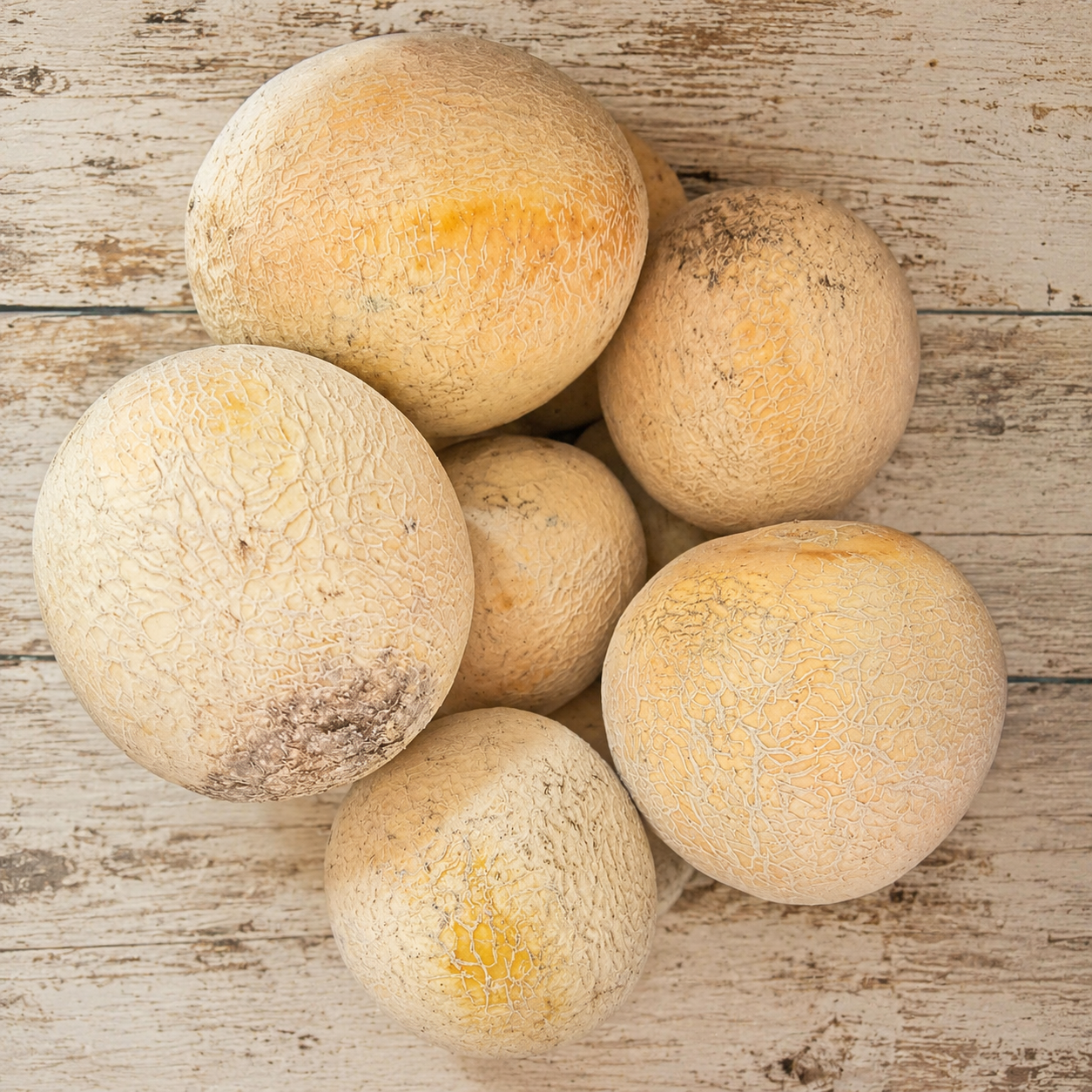 Fresh garden-grown cantaloupes from Four Little Acres
