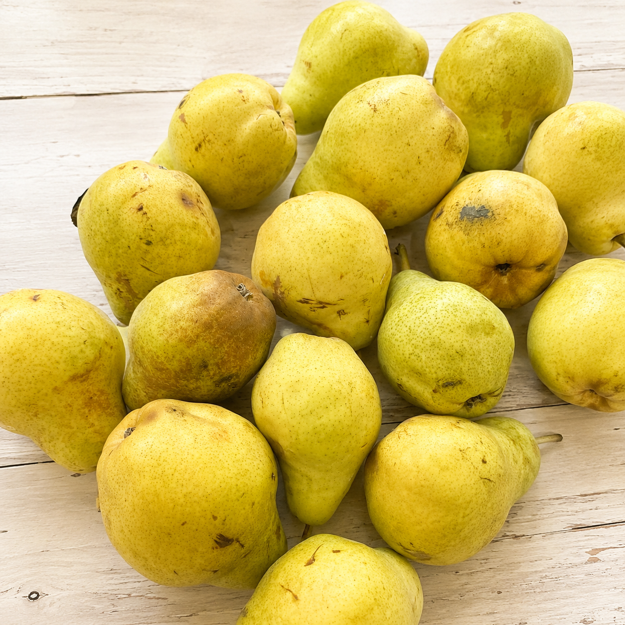 Fresh seasonal pears from Four Little Acres