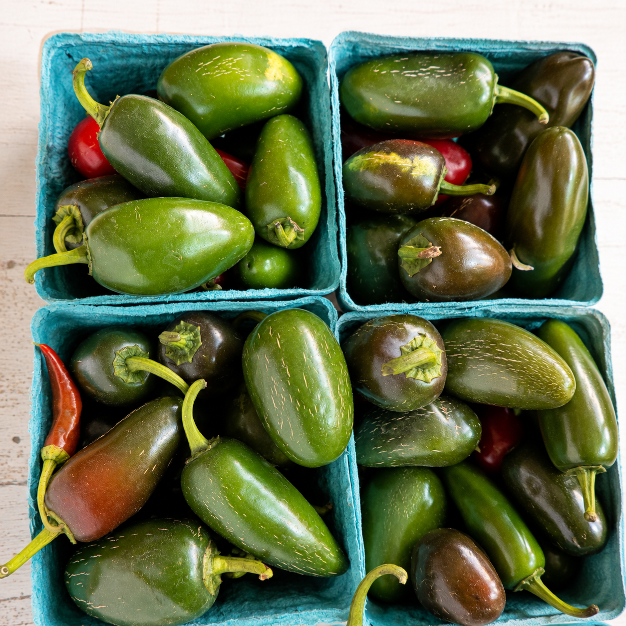 Fresh garden-grown mini jalapeños from Four Little Acres