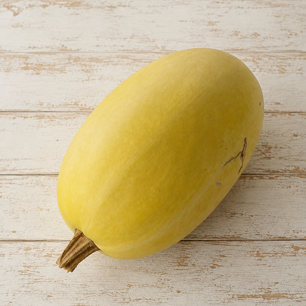 Fresh garden-grown spaghetti squash from Four Little Acres