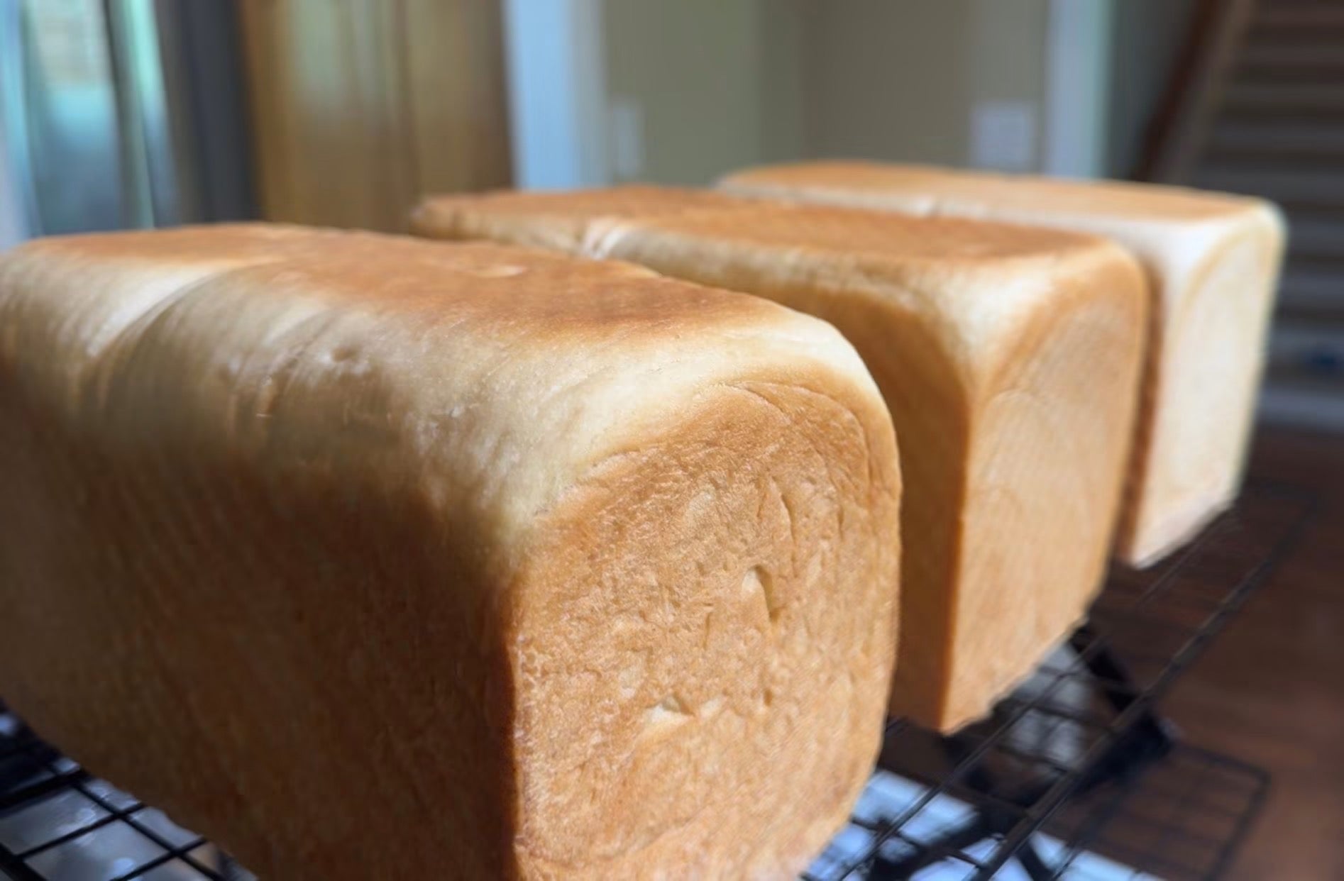 Fresh homemade sandwich bread cooling on a wire rack